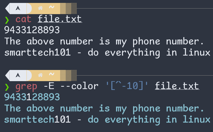 Figure: Negated Character Class in Regular Expression