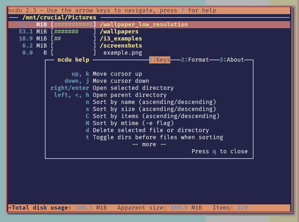 ncdu's help interface