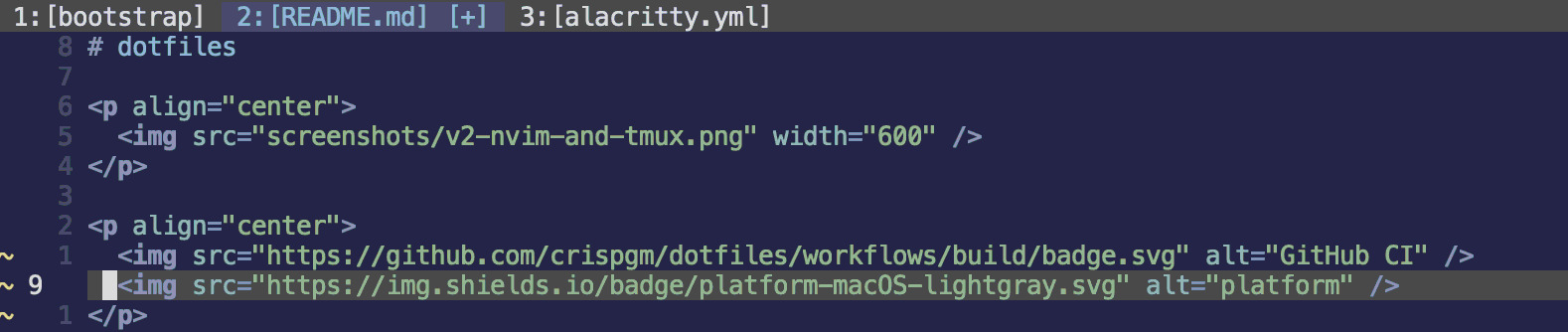 fig: tabline in vim/neovim - the top line showing tabs