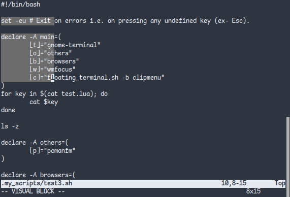 visual block mode in vim selecting texts rectangularly